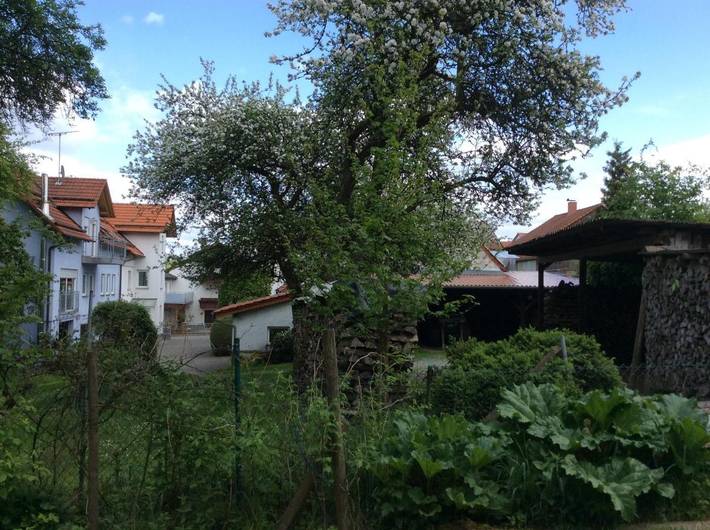 Ferienwohnung für 4 Personen, mit Garten und Ausblick in Abtsteinach - 2