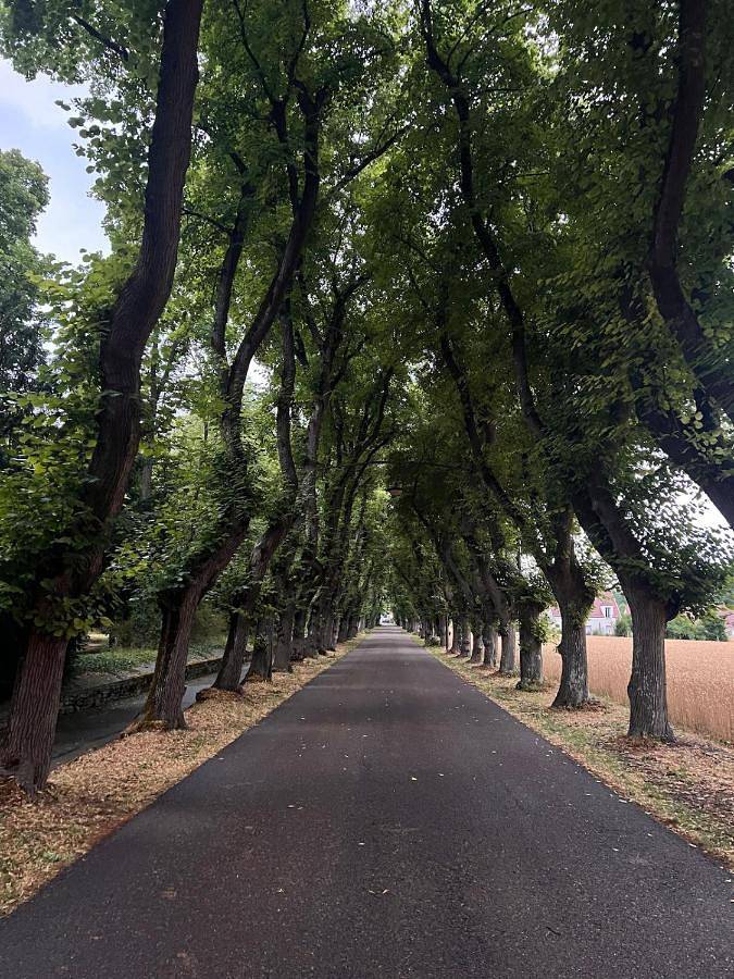 Gîte pour 2 personnes, avec jacuzzi à Gargenville - 3