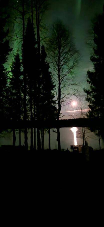 Chalet pour 2 personnes à Rovaniemi - 3