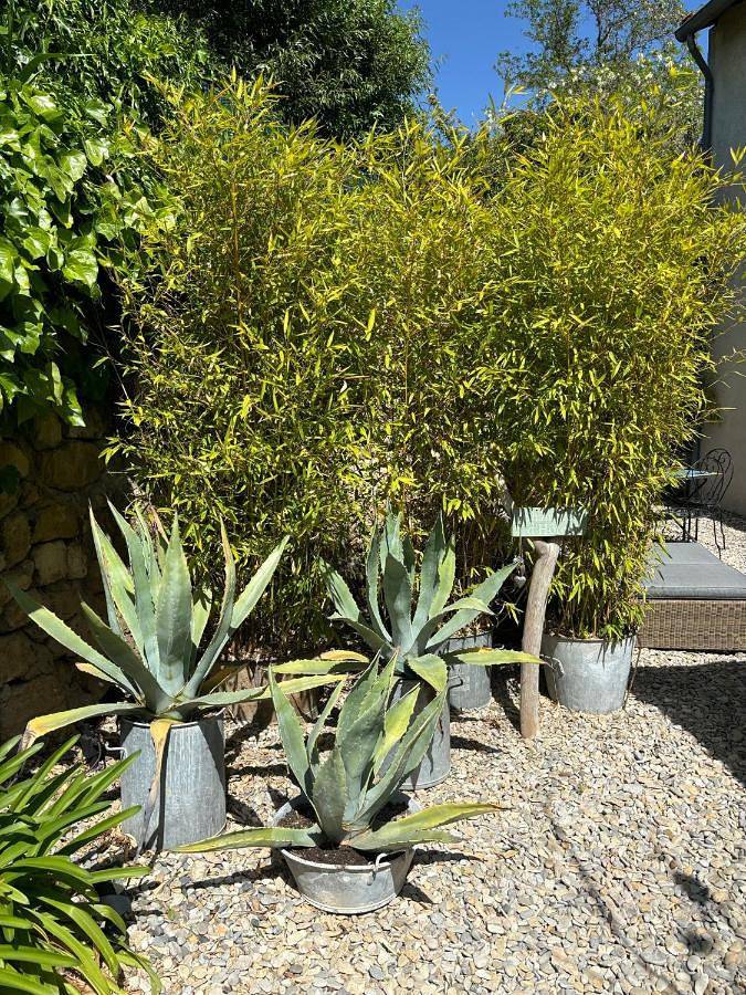 Chambre d’hôte pour 2 personnes, avec jardin ainsi que vue et piscine à Villeneuve-lès-Avignon - 4