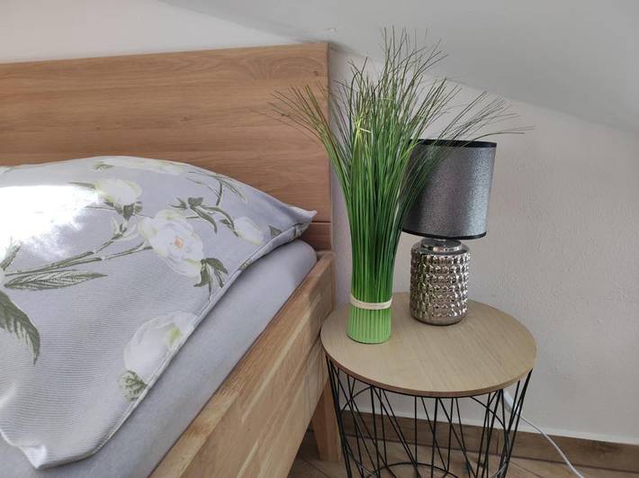 Gîte pour 4 personnes, avec sauna et terrasse ainsi que jacuzzi et piscine, animaux acceptés à Plzeň - 4