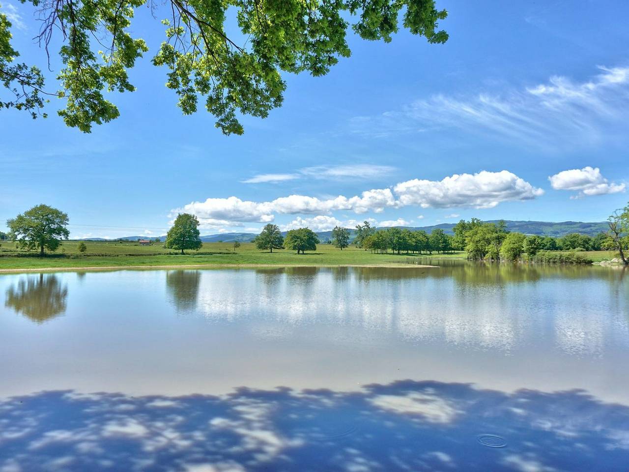 Luxurious Farmhouse: Heated Pool, Spa, Sauna, Games, Pet-Friendly, Ideal for Families in Vivans, Roanne region