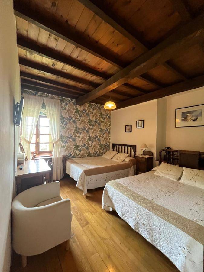 Hotel para 2 personas, con jardín y terraza en Parque Natural de las Fuentes del Narcea, Degaña e Ibias - 4