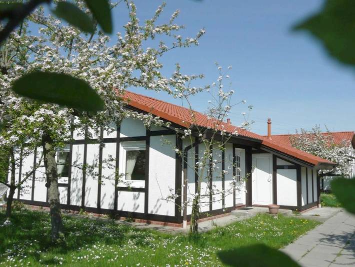 Ferienpark für 5 Personen, mit Garten und Terrasse, mit Haustier in Altes Land - 4