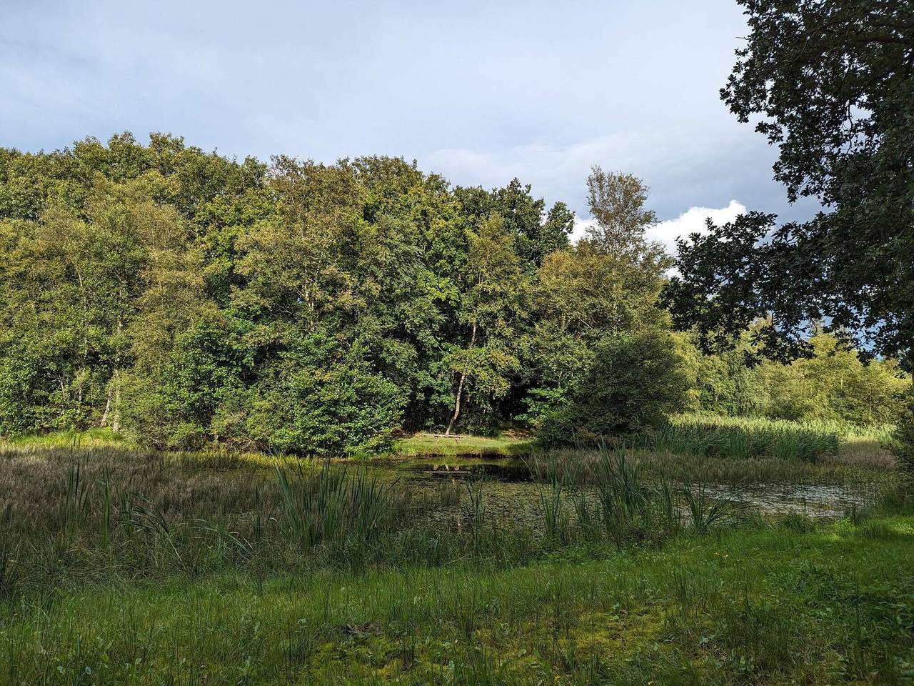 6 person feriebolig i Toftlund-By Traum in Arrild, Tønder Kommune