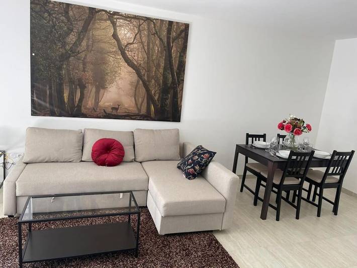 Gîte pour 2 personnes, avec terrasse à Ferney-Voltaire - 3