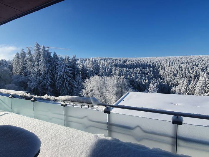 Ferienwohnung für 5 Personen, mit Balkon in Oberhof - 3