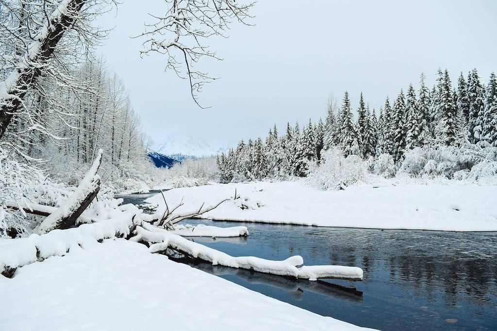 Gemütliches Chalet mit privatem Whirlpool und Blick - zu den Skipisten gehen, Hunde willkommen in Girdwood, Anchorage