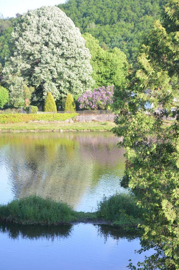Gîte pour 3 personnes, avec vue et vue sur le lac à Chambon-sur-Voueize - 4