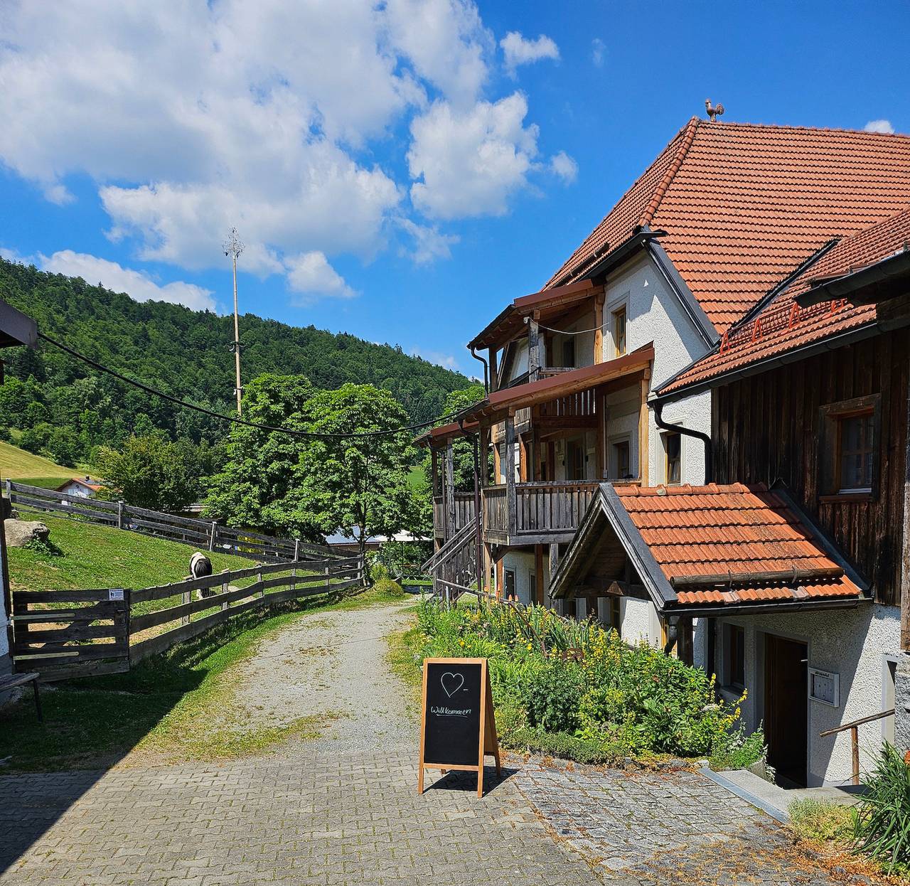 Kräuterhof - Löwenzahn in Ringelai, Ostbayern