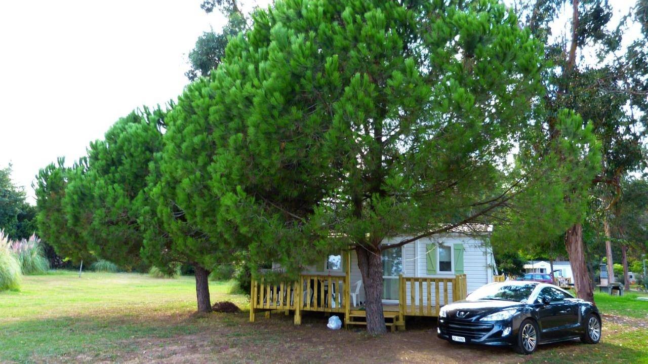 Camping Miami plage in Poggio-Mezzana, Arrondissement de Corte