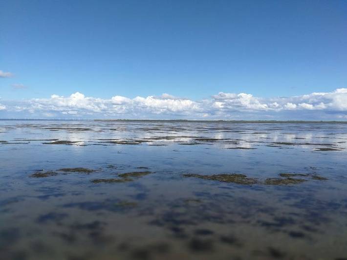 Ferienwohnung für 4 Personen, mit Garten in Mildstedt - 4