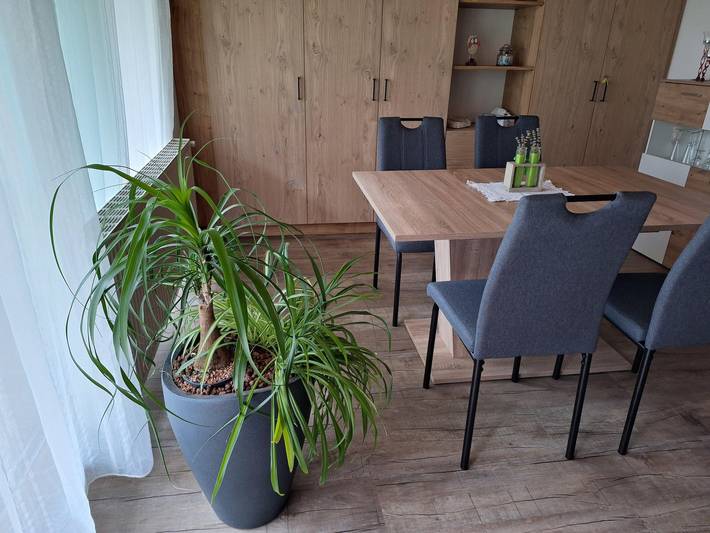 Ganze Ferienwohnung, Apartment Eva in Sautens, Ötztal