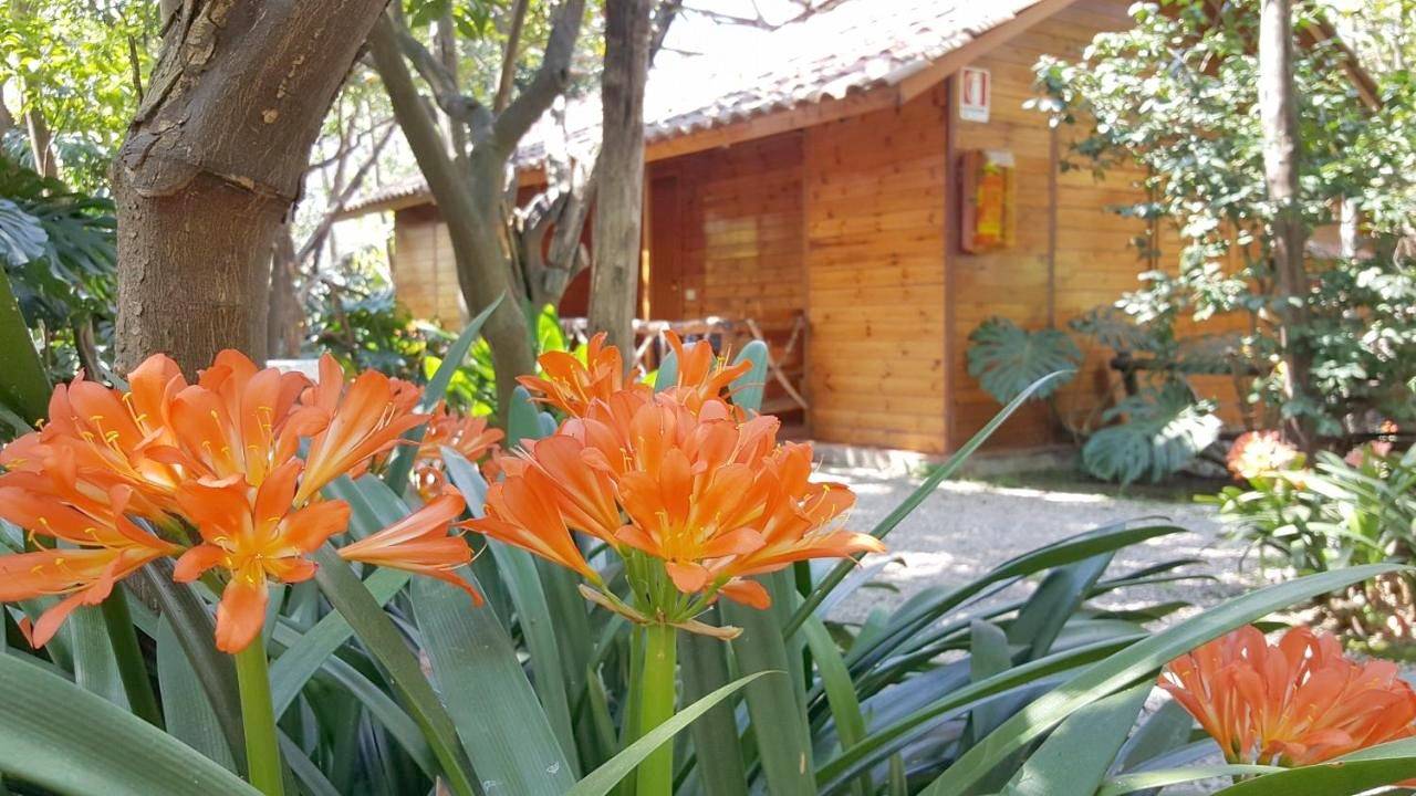 Residence Villaggio Verde in Sorrento, Prowincja Neapol