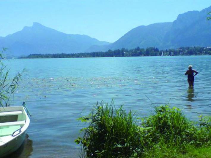 Ferienwohnung für 3 Personen, mit Balkon und Terrasse sowie Garten und Seeblick im Salzkammergut - 2