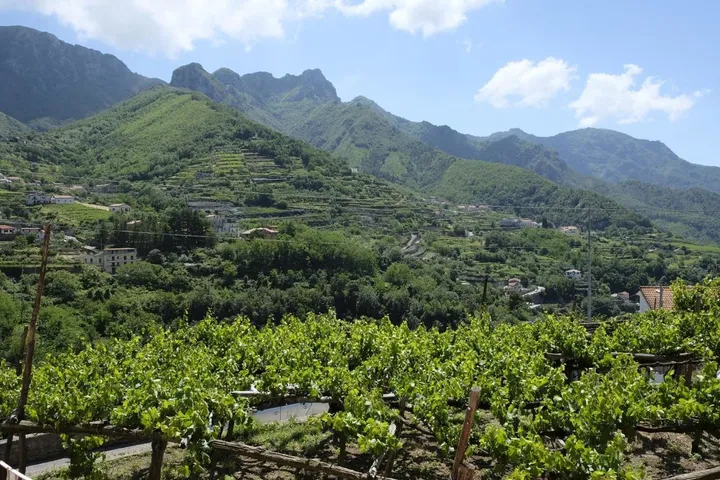 Casa vacanza per 7 persone, con panorama e terrazza - 1