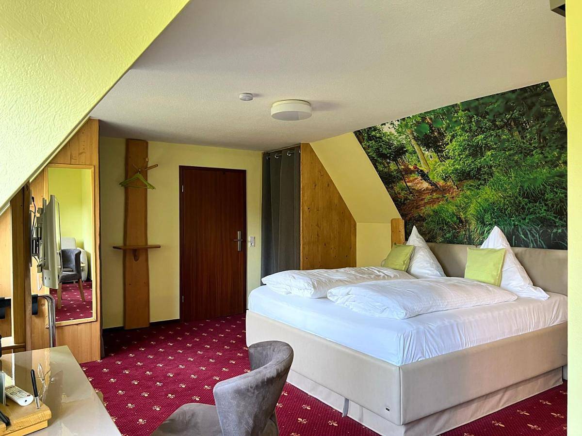 Comfort Double Room in Holzhau, Rechenberg-Bienenmühle