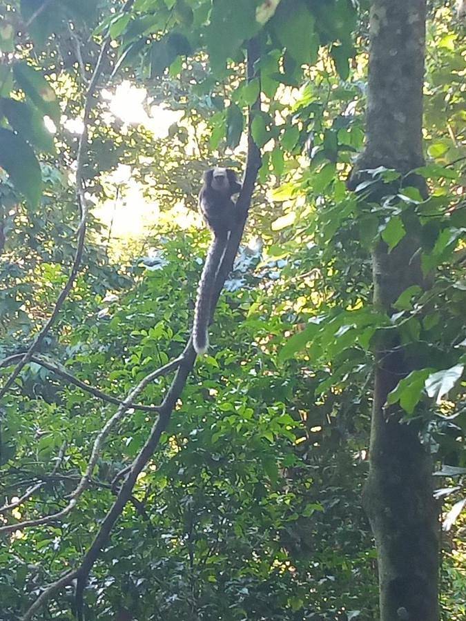 Casas e apartamentos de temporada para 2 pessoas, com vista e piscina e ainda jardim no Espírito Santo