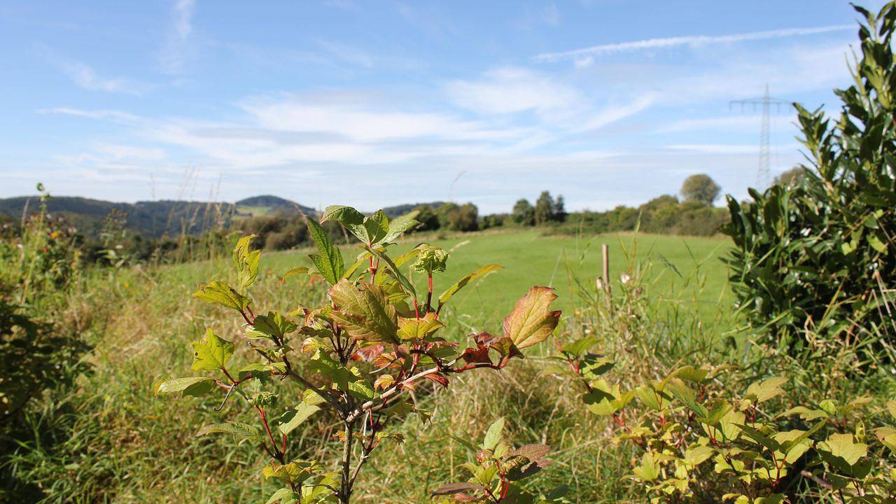 Ferienhaus für 4 Personen (65 m²) in Daun in Daun, Vulkaan-Eifel