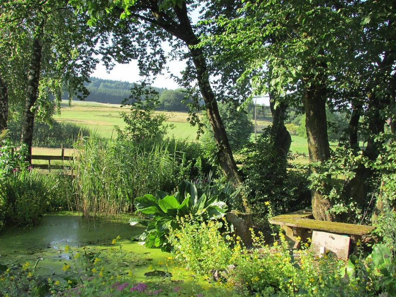 Ganze Ferienwohnung, Ferienwohnungen an der Austwies - Ferienwohnung Flieder in Nonnweiler, Saar-Nahe-Bergland