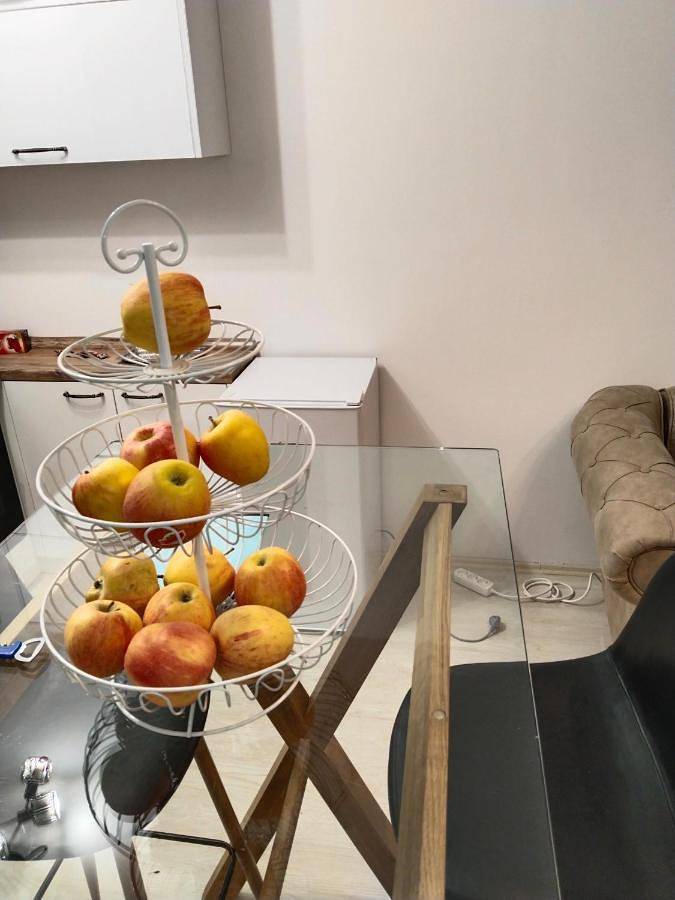 Gîte pour 4 personnes, avec terrasse et jardin, animaux acceptés à Vršac - 4