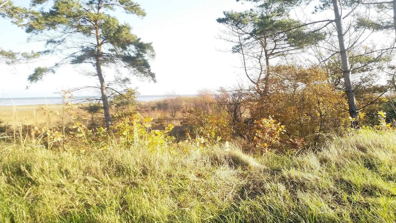 Hel ferielejlighed, Ferielejlighed for 7 personer med terrasse in Hadsund, Himmerland