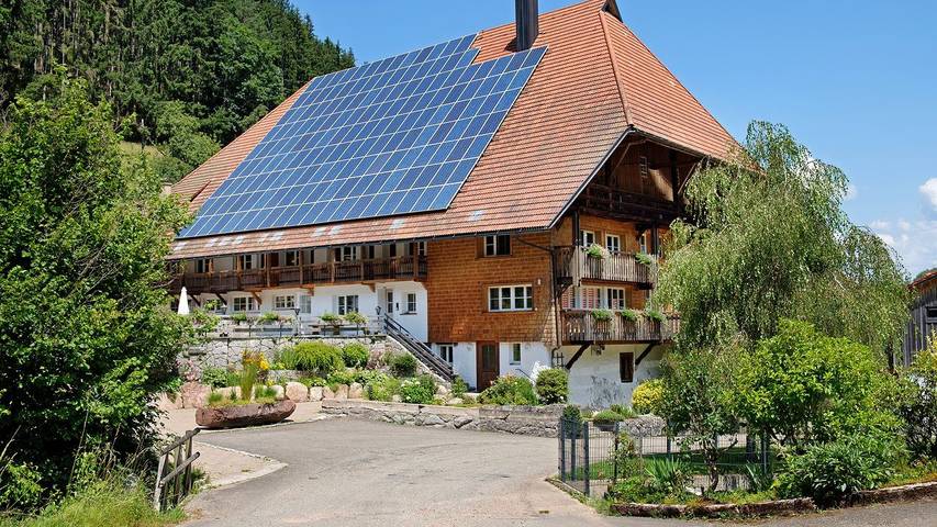 Ferienwohnung für 2 Personen, mit Terrasse und Balkon/Terrasse in Gutach (Schwarzwaldbahn)
