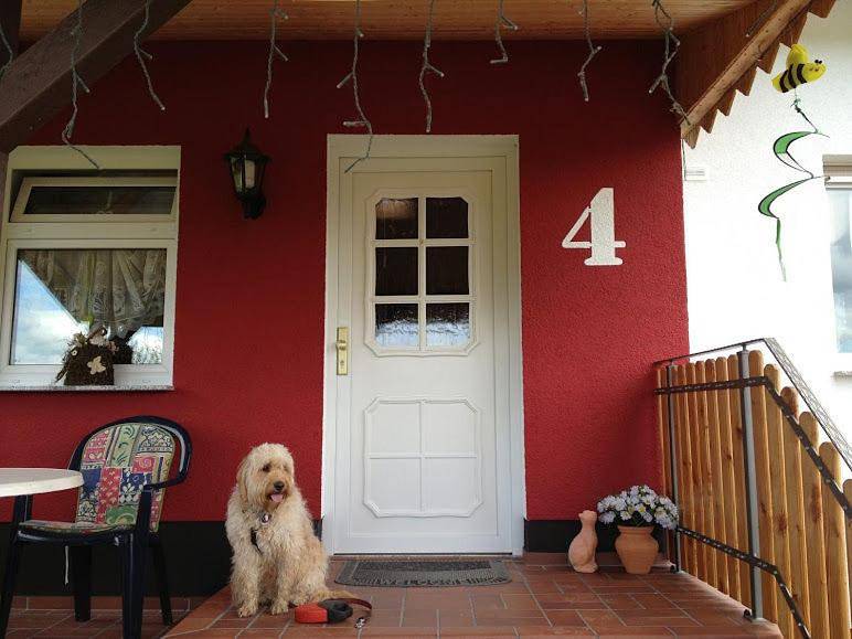 Ganze Wohnung, One-Bedroom Apartment in Wanfried, Werratal