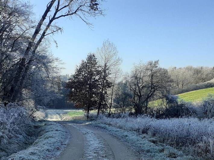 Ferienhaus für 5 Personen, mit Balkon, kinderfreundlich