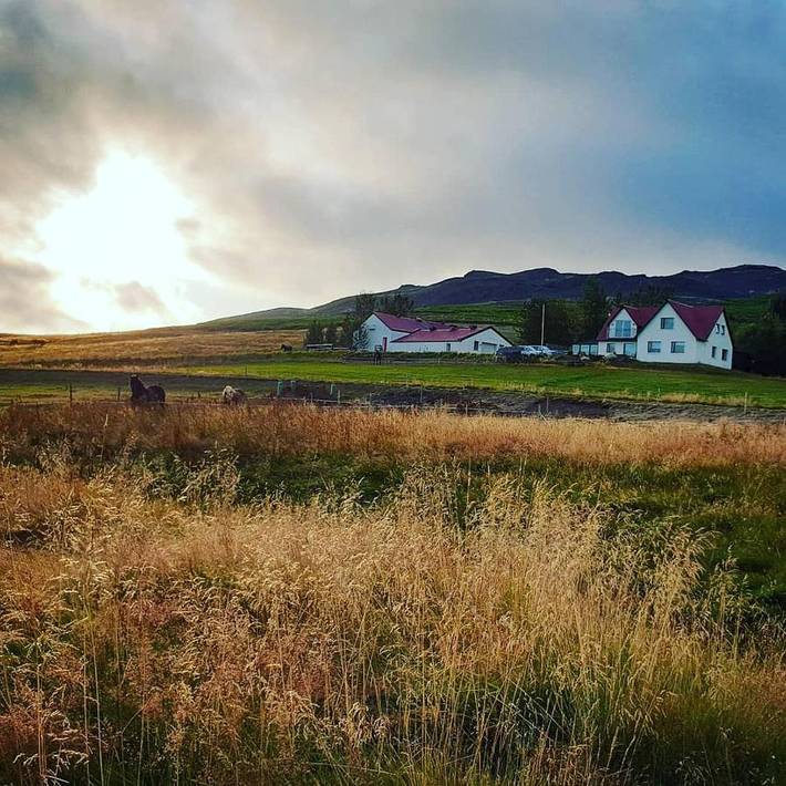 Gîte pour 2 personnes, avec jardin et terrasse à Mosfellsbær - 4
