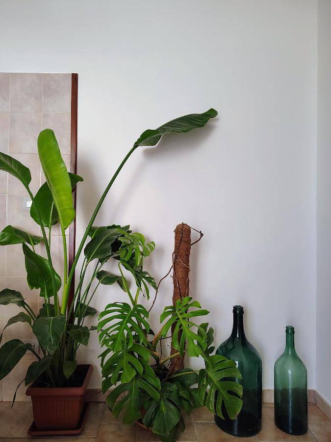 B&b per 2 persone, con giardino in Milazzo