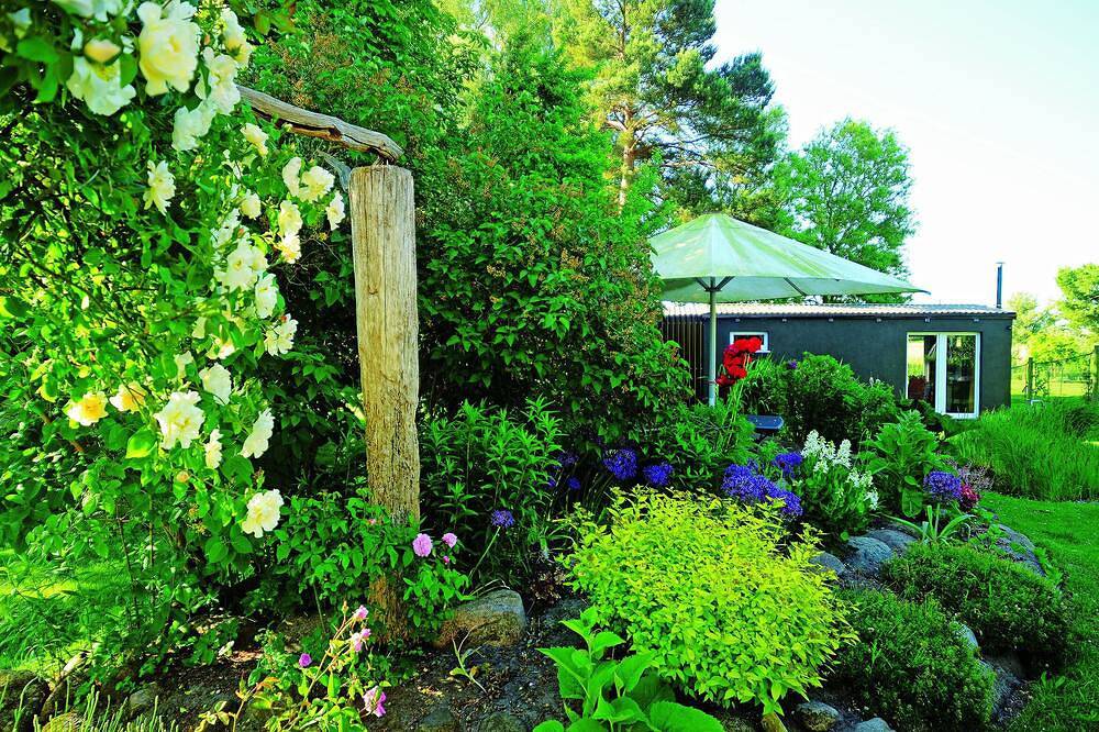 Urlaub zwischen Natur und Design in Ribnitz-Damgarten, Fischland - Darß - Zingst