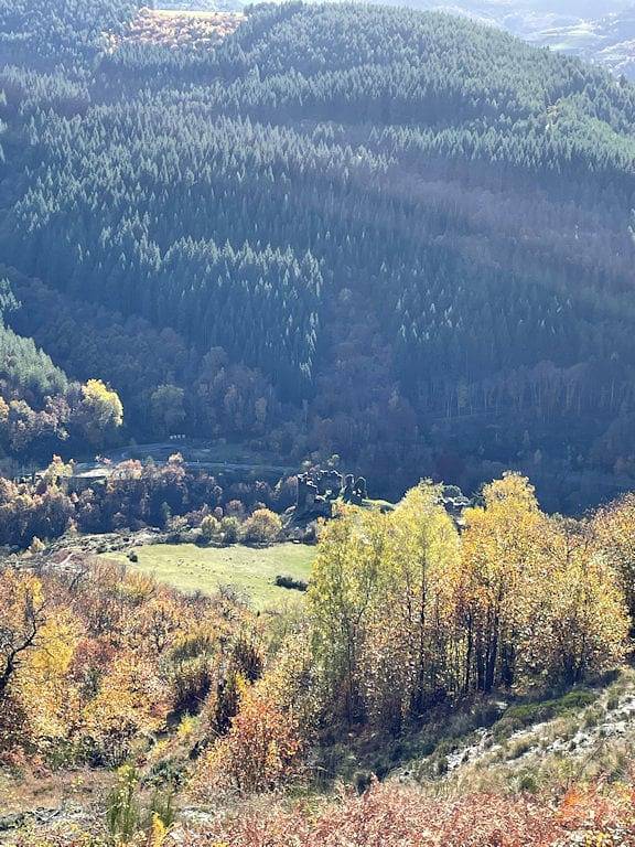 Chambre d’hôte pour 2 personnes, avec piscine ainsi que jardin et jacuzzi, animaux acceptés dans Lozère - 4