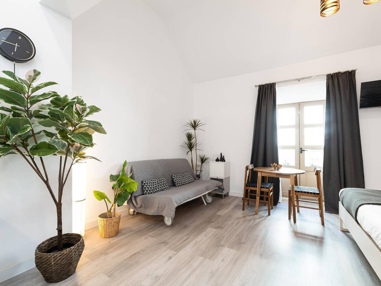 Entire studio, H2M Hiniestrosa Studio french Balcony Aacc Wifi in Málaga Central District, Malaga