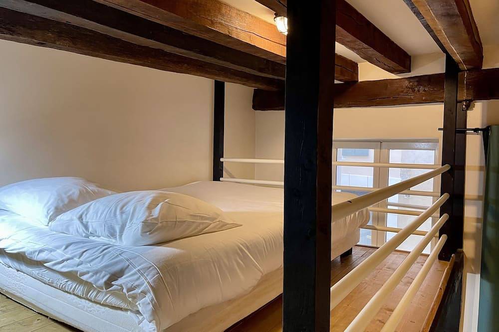 Apartamento entero, Le Cadet Roussel-Apartamento-Club-Baño privado con ducha-Vista a la Ciudad in Auxerre, Auxerre region