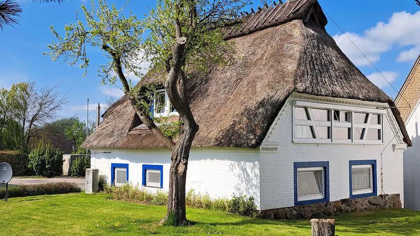 Ferienhaus für 8 Personen, mit Garten, mit Haustier