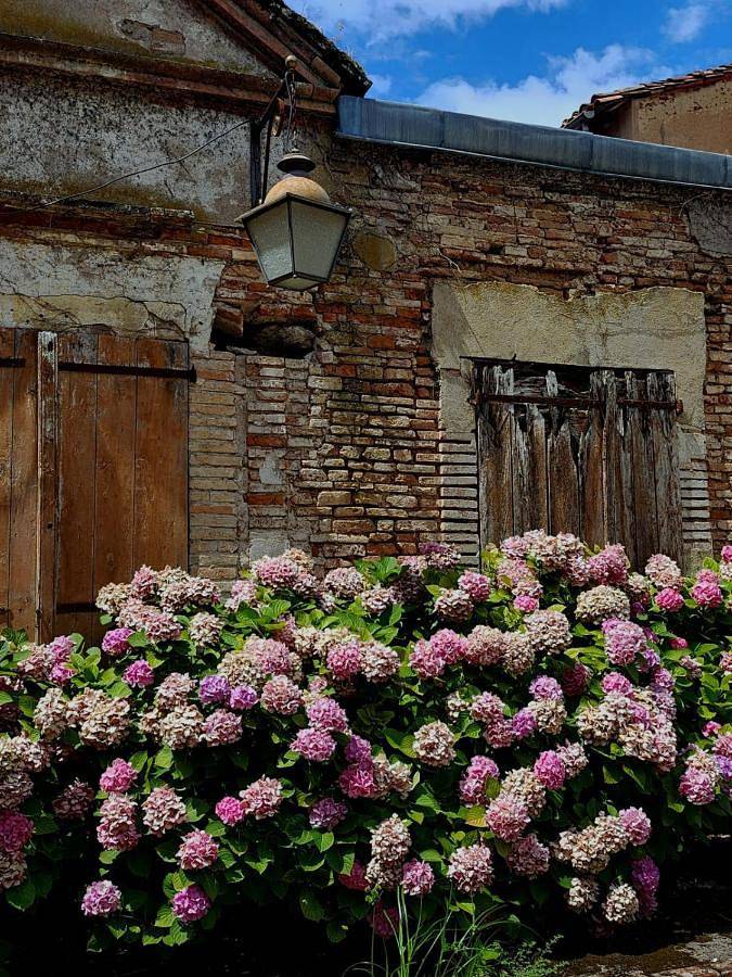 Maison d’hôte pour 3 personnes, avec vue et piscine ainsi que terrasse et jardin à Gaillac - 2