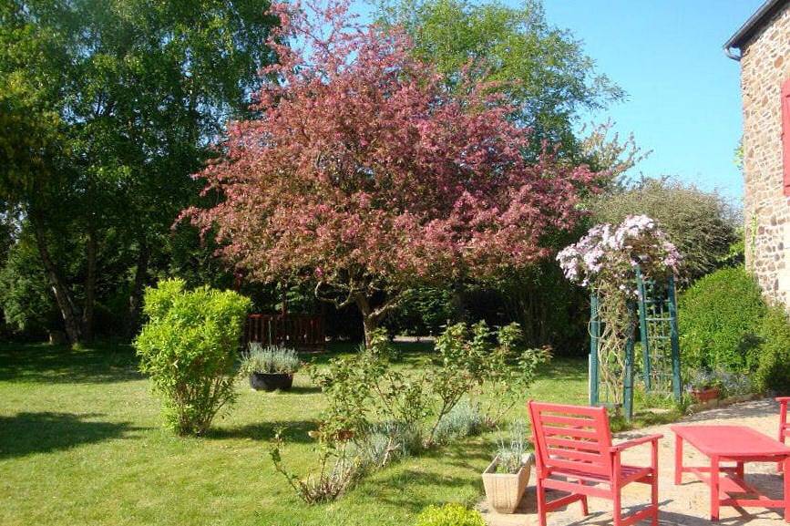 Au Jardin d'Eloïse - Magnolia in Tréméreuc, Région de Dinan