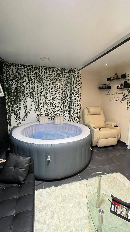 Gîte pour 2 personnes, avec piscine ainsi que jardin et jacuzzi à Aulnay-sous-Bois - 3