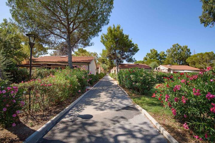 Bungalow für 4 Personen, mit Garten, mit Haustier - 1