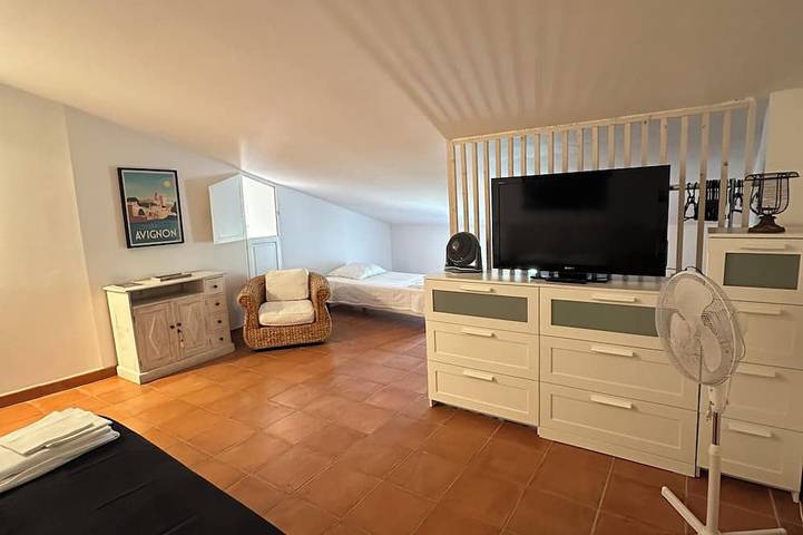 Location de vacances pour 12 personnes, avec jardin, animaux acceptés à Gaujac - 4