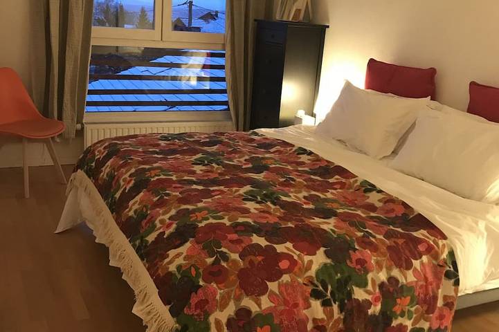 Location de vacances pour 6 personnes, avec jardin et balcon, animaux acceptés à Saint-Paul-en-Chablais - 2