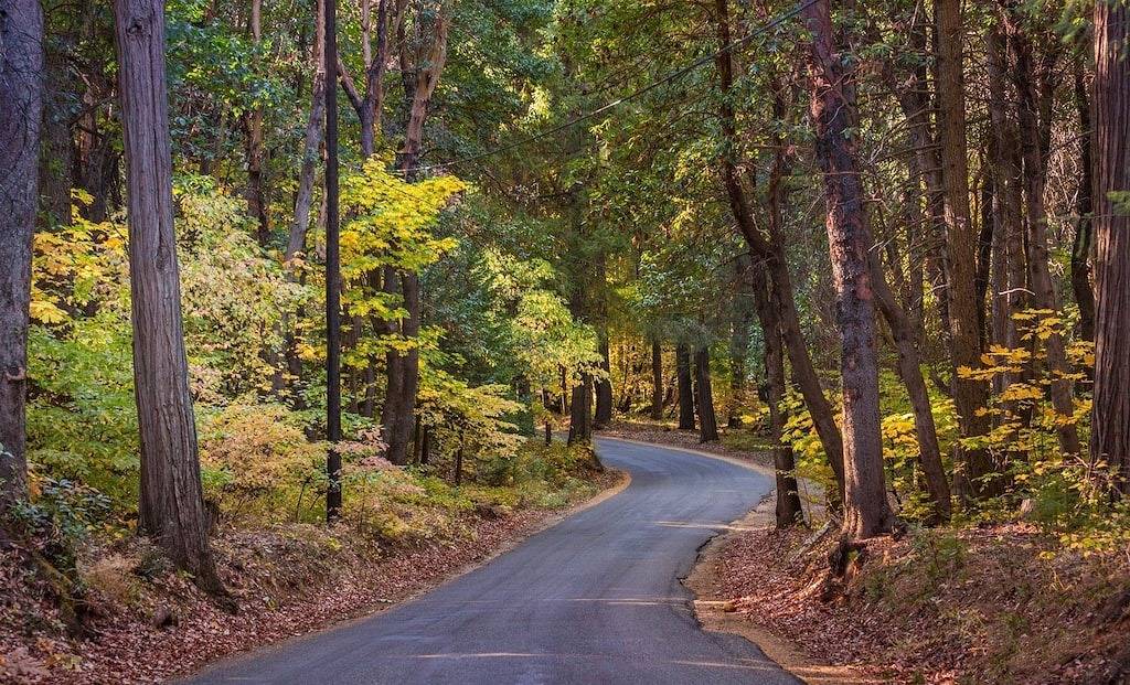 Ganze Wohnung, Downtown gemütliches Refugium in Grass Valley, Nevada County