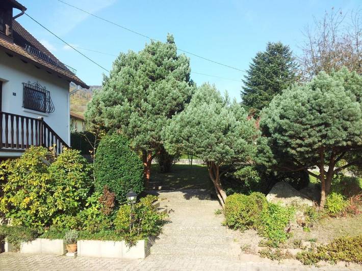 Location de vacances pour 7 personnes, avec jardin, animaux acceptés à Breitenbach - 4
