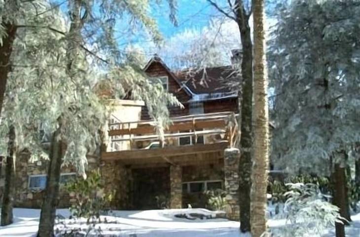 Vacation rental for 30 people, with balcony, with pets in Beech Mountain