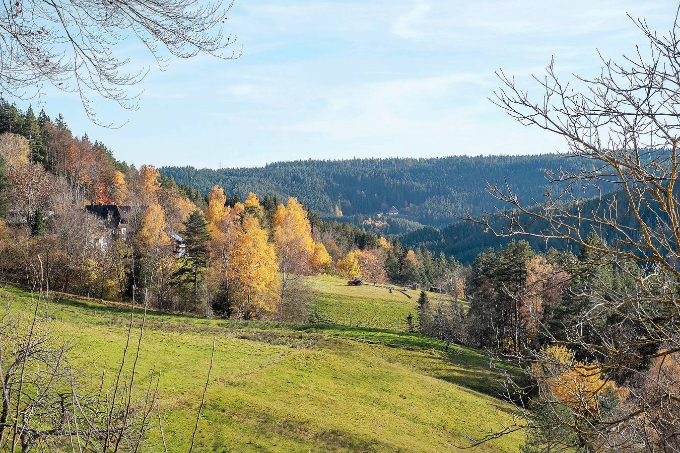 Entire apartment, Apartment 'Wiesenblick' with Shared Terrace, Shared Garden and Wi-Fi in Schramberg, Central Black Forest