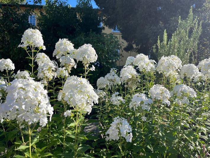 Ferienwohnung für 4 Personen, mit Terrasse und Garten in Benz - 4
