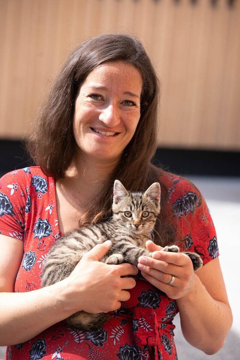 Panoramahof Bergglück - Sunnseitn in Mellau, Bregenzerwald