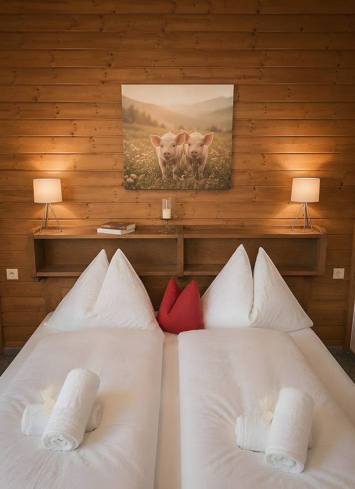 Ferienwohnung für 2 Personen, mit Balkon und Garten in Ski Amadé - 2