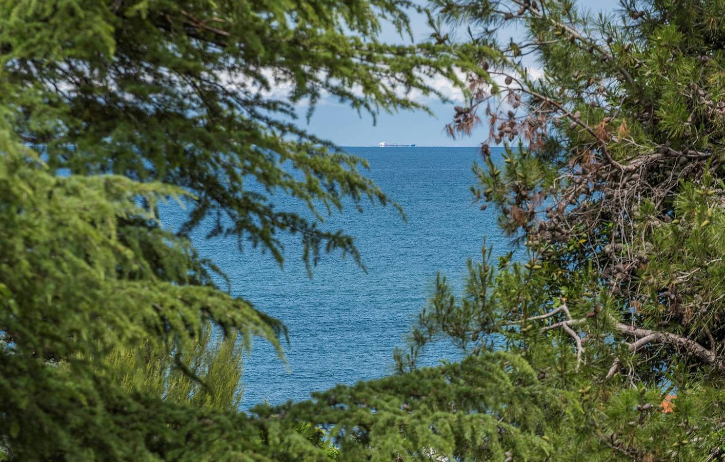 Ganze Wohnung, Ferienwohnung Raul mit Balkon in Dajla in Dajla, Umag und Umgebung
